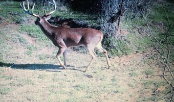 001 Farr Rd, Bolton, MS 39041