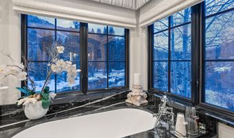 1449 Crystal Lake Rd, Aspen, CO 81611