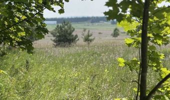 8688 Miller Rd, Alanson, MI 49706