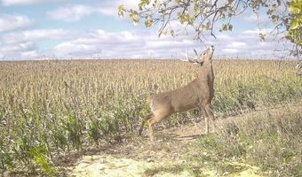00000 CR 140, Alexander, KS 67513