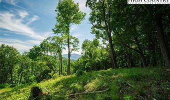 C110 Springwater Lane, Banner Elk, NC 28604