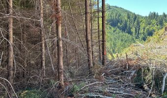 Glenn Creek Rd 300, Allegany, OR 97407