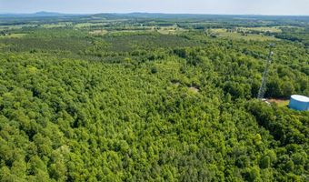 Lot 2 Tower Hill Rd, Appomattox, VA 24522