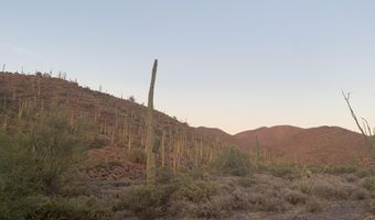 42000 N Fleming Springs Rd P, Cave Creek, AZ 85331