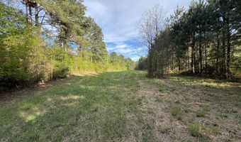1311 N Jackson St, Brookhaven, MS 39601