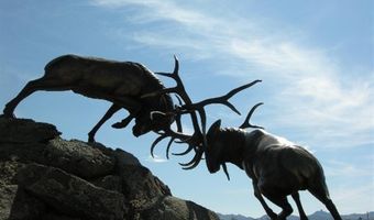 109 Stillwater Dr, Cody, WY 82414