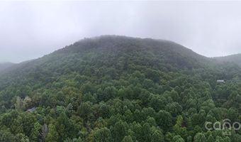Killdevil Hill Lane unit 9 & 10 9 & 10, Bat Cave, NC 28792