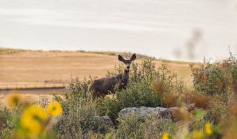 6502 6200 Kiva Ridge Dr, Berthoud, CO 80513