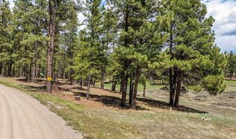841 Beaver Creek Dr, Bayfield, CO 81122