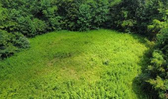 00 Tbd Long Shoal Br, Beattyville, KY 41311