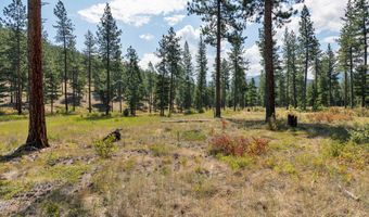 13902 Highland Trl, Alberton, MT 59820