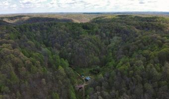 1000 Coon Fork Rd, Arnoldsburg, WV 25234