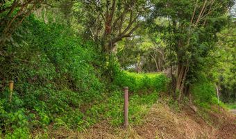 APOPO RD, Kapaa, HI 96746