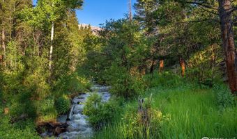 1217 Big Owl Rd, Allenspark, CO 80510