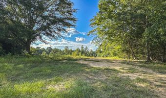 0 Hwy 14, Aliceville, AL 35442