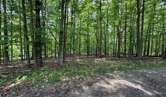 Snode Street NE, Alliance, OH 44601