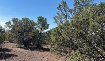 Lot 11 Uphill Trail, Vernon, AZ 85940