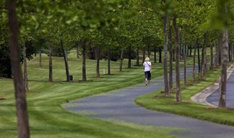 8 HARLEQUIN Loop, Bridgeville, DE 19933