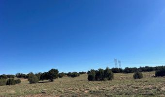 005 N9119, Concho, AZ 85924