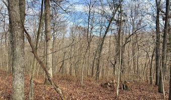 Farm Rd 1187 Lc, Ash Grove, MO 65604