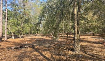 1320 NW 22nd Ct, Bell, FL 32619