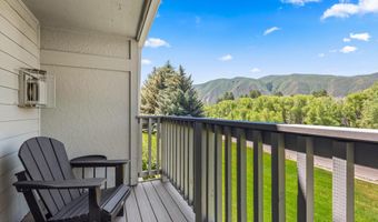 4202 Elk Ln, Basalt, CO 81621