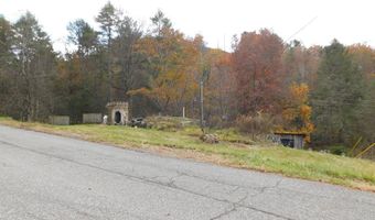 290 Angels Pass Dr Lot 1, Bastian, VA 24314