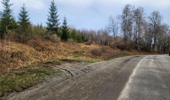 Quigg Hollow Road, Andover, NY 14806
