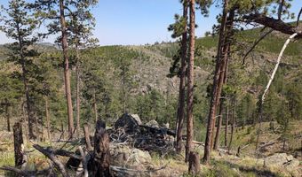 Old Camp Rd, Bellvue, CO 80512