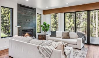 301 QUANDARY Rd, Breckenridge, CO 80424