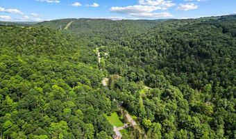 3623 BEAR CREEK Rd, Accident, MD 21520