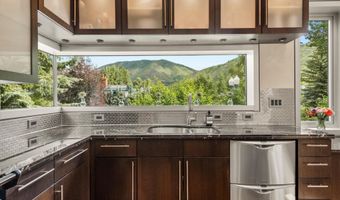 939 E COOPER Ave, Aspen, CO 81611