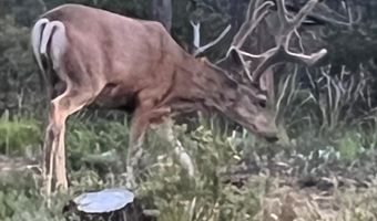 13045 Picketwire Rd, Boncarbo, CO 81024