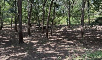 543 Leisure Land Pl, Adair, OK 74332