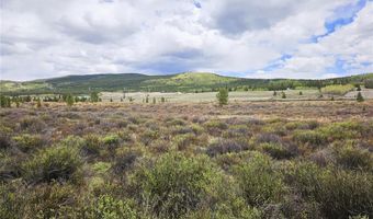 700 Looney Ln Lot 0, Alma, CO 80420