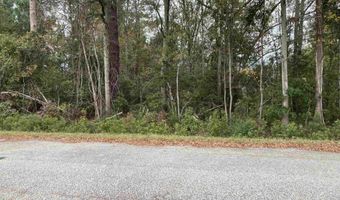 Golfview Circle, Johnsonville, SC 29555