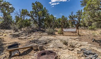 413 Delasso Loos Rd, Blanco, NM 87412