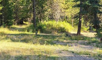 1000 Sanderson Ln, Bovill, ID 83806