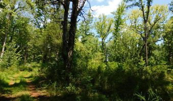 98 63 AC Pointer Rd, Alton, VA 24520