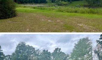 7470 Hwy 29, Andalusia, AL 36420