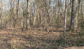 13356 Ellison Trce, Birchwood, TN 37308