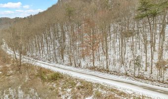 226 Briar Fork Rd, Bean Station, TN 37708