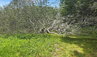 Old Field Road, Aquinnah, MA 02535