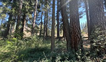 392 Sequoia Cir, Blairsden, CA 96103