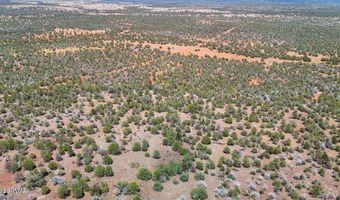 Stagecoach Dr 47 Acres, Ash Fork, AZ 86320