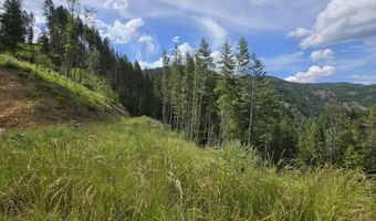 480 Dunn Peak Rd, Avery, ID 83802