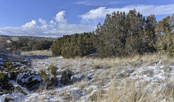 83 County Road 5083, Concho, AZ 85924