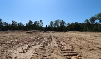 1104 Sparkling Lake Dr, Apex, NC 27523