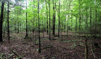 000 AVE 5 SW St, Atkins, AR 72823