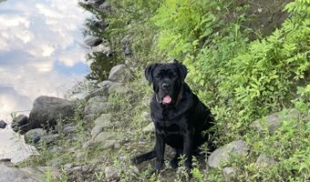 Spruce Drive, Anson, ME 04911